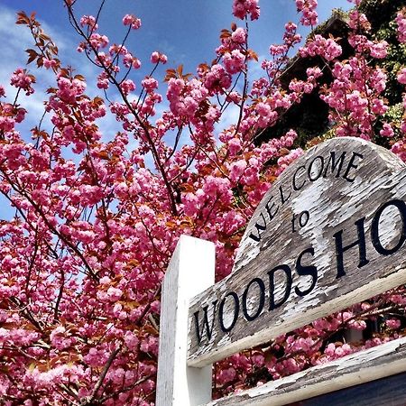 Treehouse Lodge Woods Hole Buitenkant foto