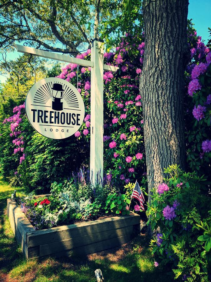 Treehouse Lodge Woods Hole Buitenkant foto