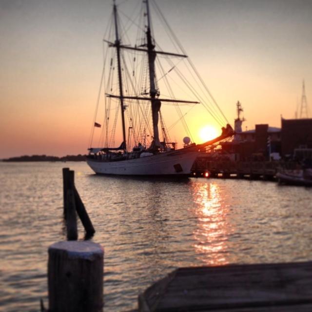 Treehouse Lodge Woods Hole Buitenkant foto
