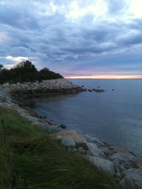 Treehouse Lodge Woods Hole Buitenkant foto